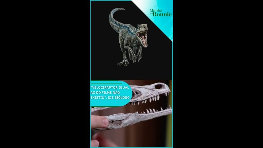 “Velociraptor de filme não existe”, esclarece biólogo #shorts