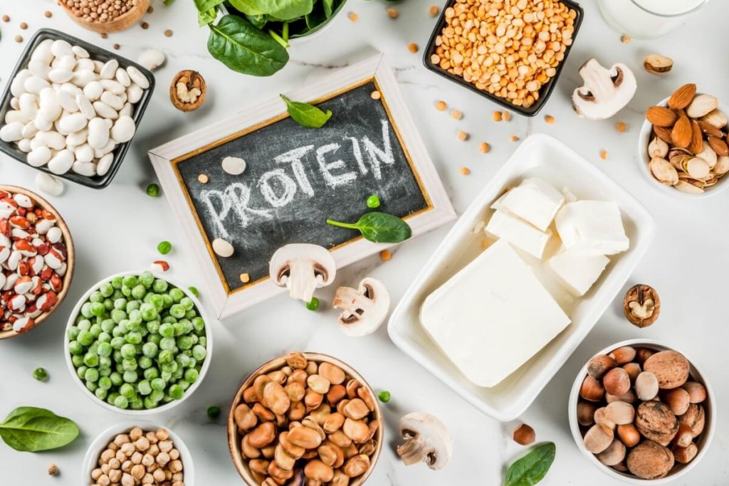 Entenda o papel da proteína no organismo e como consumi-la