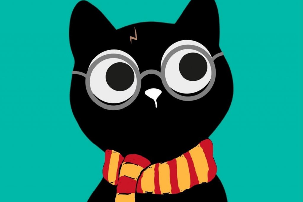 8 nomes de personagens do Harry Potter para o seu gato