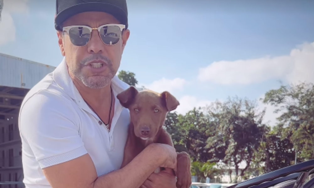 Zezé di Camargo adota cachorrinho que apareceu durante show em Minas Gerais