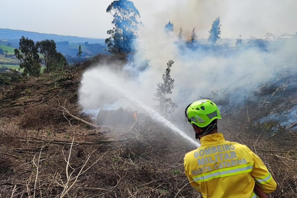 Incêndio de grandes proporções atinge vegetação e fogo é combatido após 5h em SC