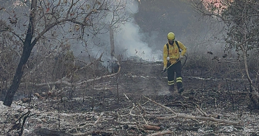 Bombeiros de SC ajudam no combate aos incêndios florestais no Pantanal; veja imagens